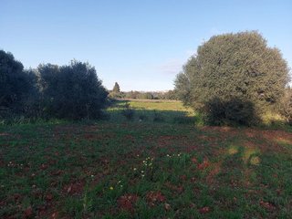 Terreno en venta en Muro en Muro