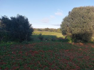 Terreno en venta en Muro en Muro