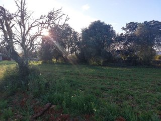 Terreno en venta en Muro en Muro