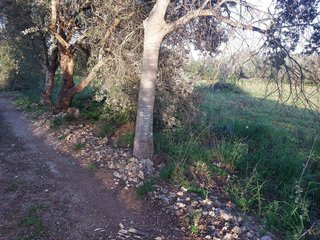 Terreno en venta en Muro en Muro
