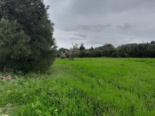 Terreno en venta en Muro en Muro