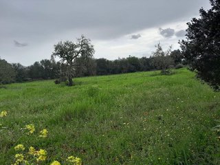 Terreno en venta en Muro en Muro
