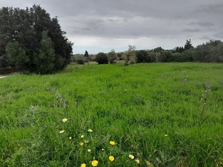 Terreno en venta en Muro en Muro