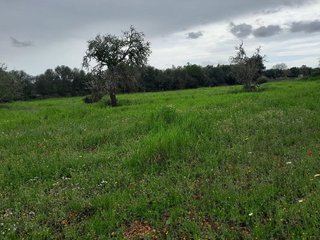 Terreno en venta en Muro en Muro
