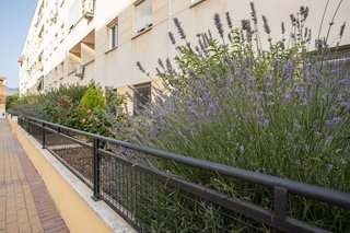Piso en venta en Almanjáyar en Granada