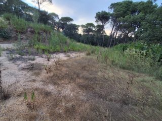 VENTA PARCELA urbana