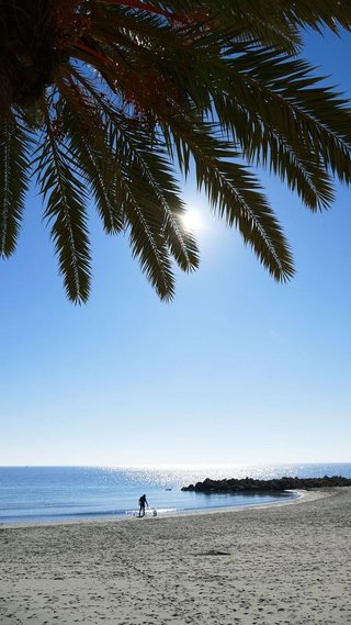 Piso en alquiler en Zona Puerto Deportivo en Fuengirola