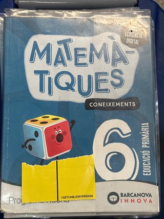 Matemàtiques, 6 Educació Primària, Programa Rao...