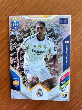 Panini FIFA 365 Adrenalyn XL Cards