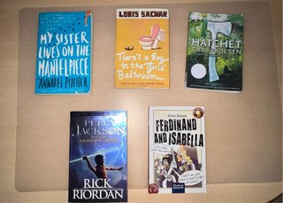 Lote de libros juveniles en inglés