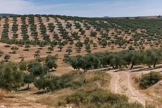 Terreno en venta en Huelma