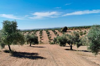 Terreno en venta en Huelma