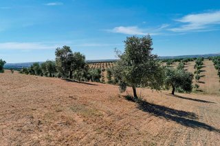 Terreno en venta en Huelma