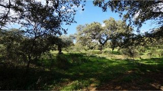 Terreno en venta en Almadén