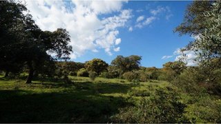 Terreno en venta en Almadén