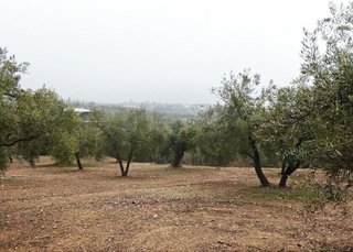 Terreno en venta en Peligros