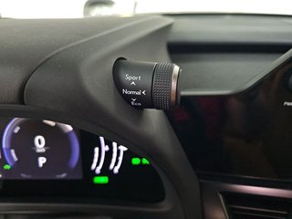 Lexus UX 2.0 300h UX Plus