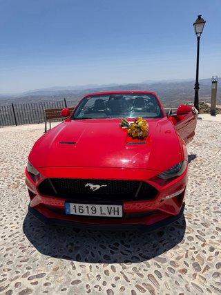 Mustang Mustang 2024