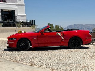 Mustang Mustang 2024
