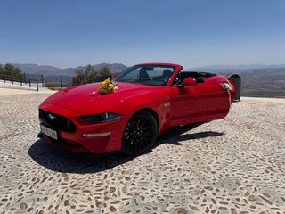 Mustang Mustang 2024