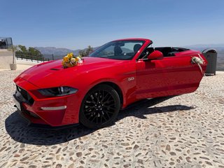 Mustang Mustang 2024