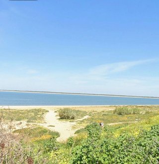Terreno en venta en La Jara en Sanlúcar de Barrameda