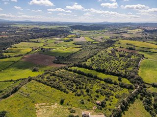 Terreno en venta en Muro en Muro