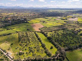 Terreno en venta en Muro en Muro