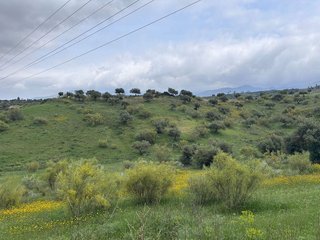 Terreno en venta en Centro en Alhaurín el Grande