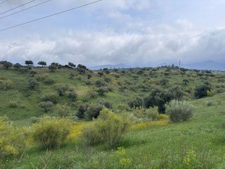 Terreno en venta en Centro en Alhaurín el Grande