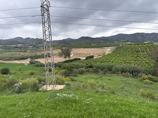 Terreno en venta en Centro en Alhaurín el Grande