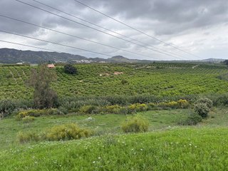 Terreno en venta en Centro en Alhaurín el Grande