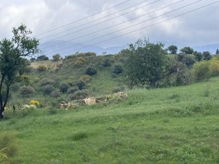 Terreno en venta en Centro en Alhaurín el Grande