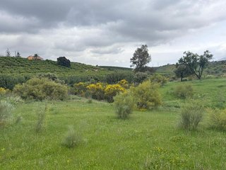 Terreno en venta en Centro en Alhaurín el Grande