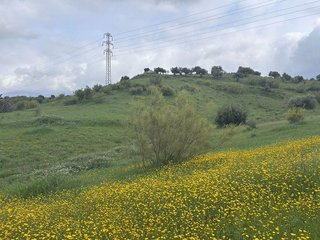 Terreno en venta en Centro en Alhaurín el Grande