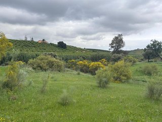 Terreno en venta en Centro en Alhaurín el Grande