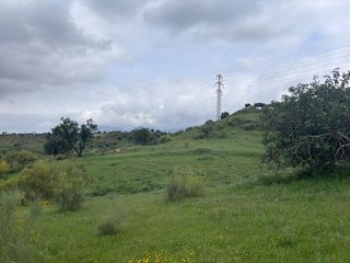 Terreno en venta en Centro en Alhaurín el Grande