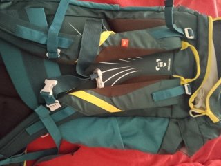 Mochila Quechua 40L Verde y Amarillo