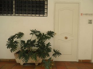 Oficina en alquiler en Arenales - Lugo - Avenida Marítima en Palmas de Gran Canaria(Las)