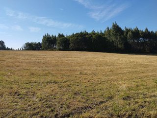 Terreno en venta en Begonte