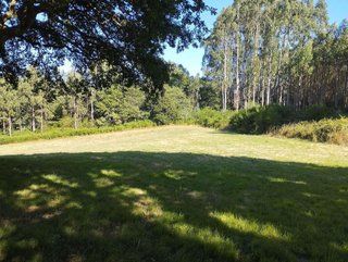 Terreno en venta en Begonte