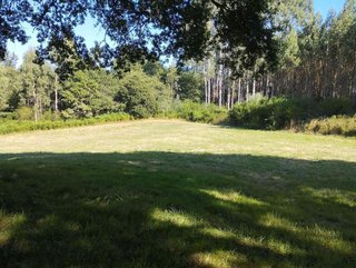 Terreno en venta en Begonte