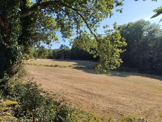 Terreno en venta en Begonte
