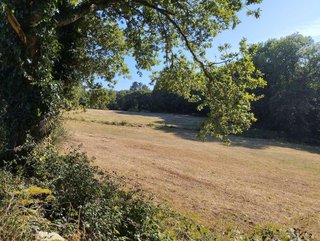 Terreno en venta en Begonte
