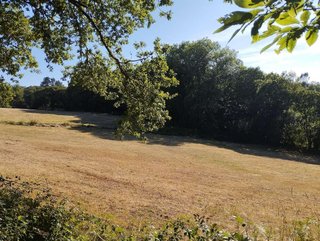 Terreno en venta en Begonte