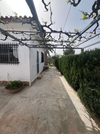Chalet en venta en Albalat dels Tarongers
