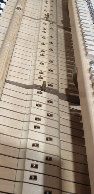 Piano de cola C.Bechstein