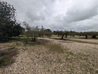 Terreno en venta en Traiguera