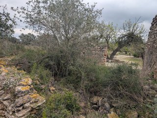 Terreno en venta en Traiguera