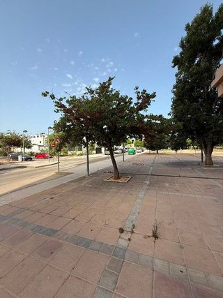 Garaje en alquiler en Algemesí